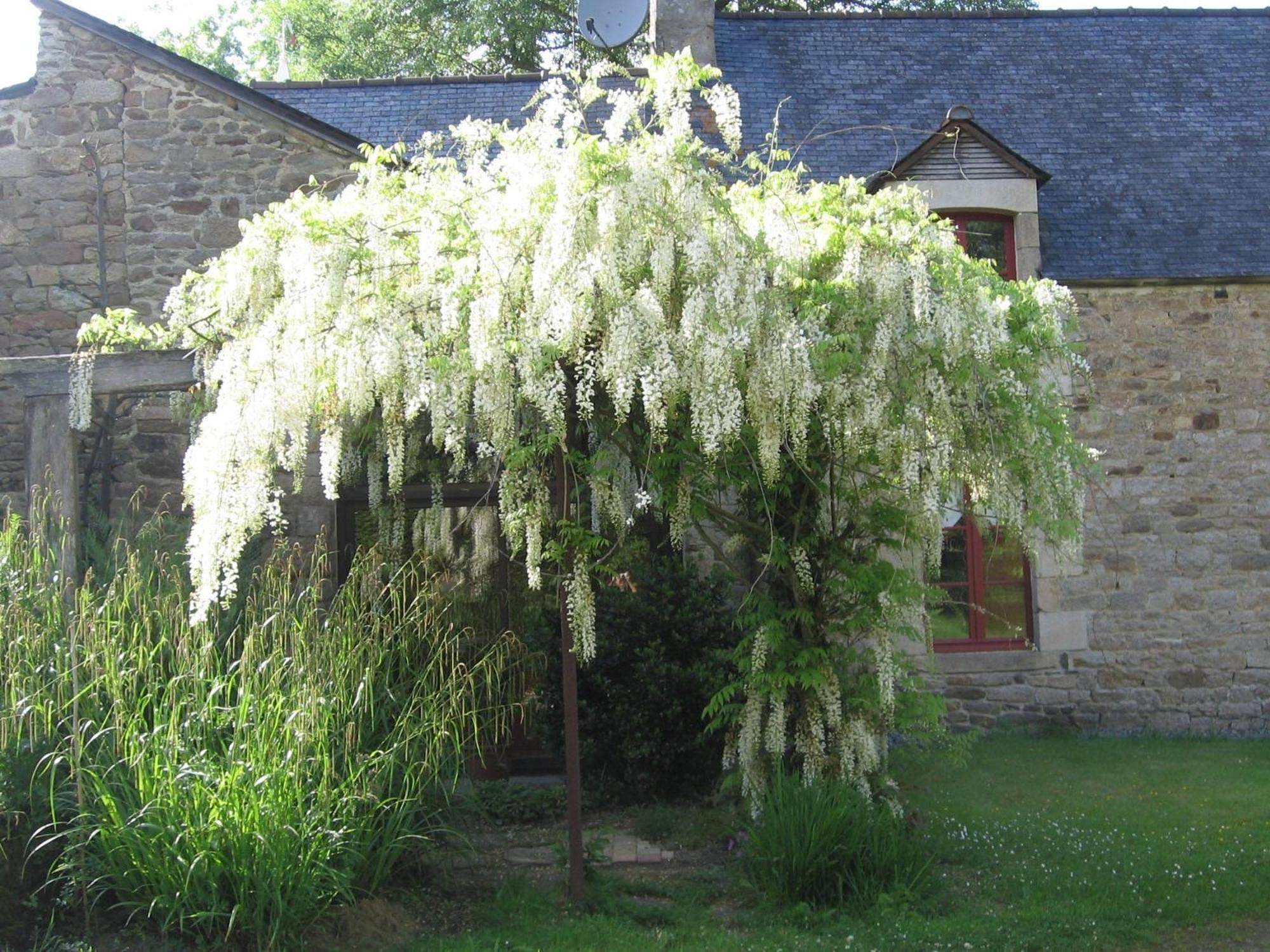 La Guyonnais Quévert Exterior foto